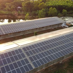 HỆ THỐNG TRANG TRẠI SỬ DỤNG NĂNG LƯỢNG XANH