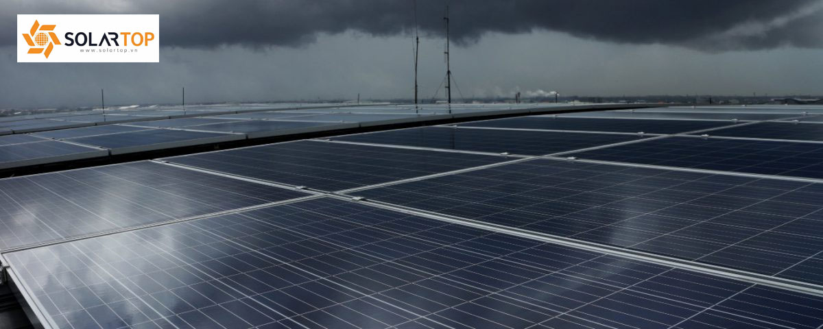 Mưa có làm sạch tấm pin không