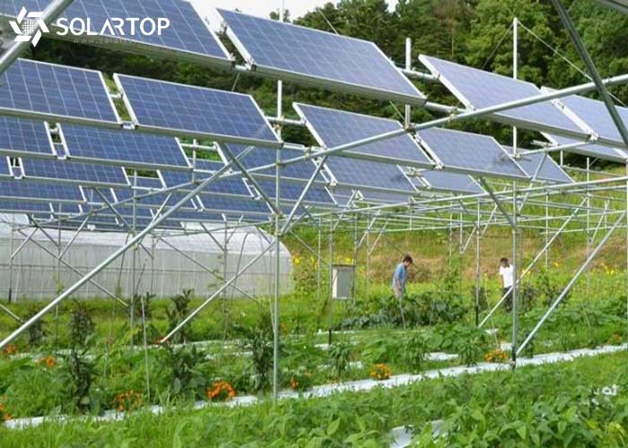 Hình thức đầu tư hấp dẫn