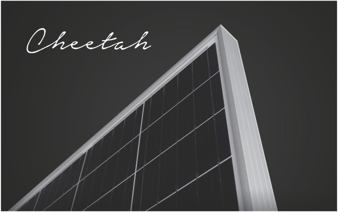 pin-jinko-cheetah-400w